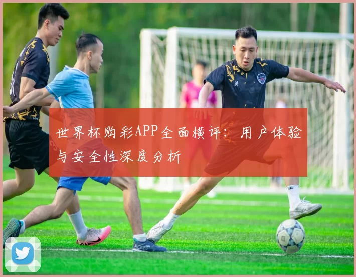 世界杯购彩APP全面横评:用户体验与安全性深度分析