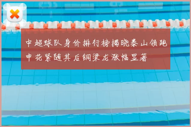 中超球队身价排行榜揭晓泰山领跑申花紧随其后铜梁龙涨幅显著
