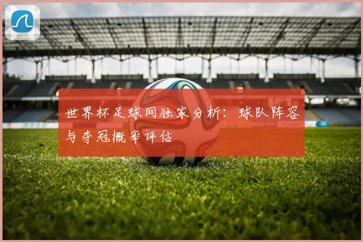 世界杯足球网独家分析：球队阵容与夺冠概率评估