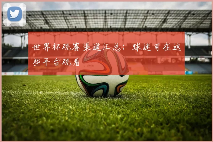 世界杯观赛渠道汇总：球迷可在这些平台观看
