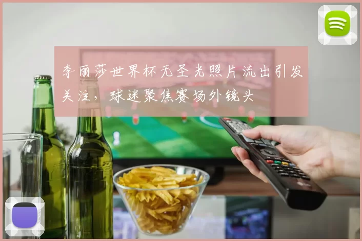 李丽莎世界杯无圣光照片流出引发关注，球迷聚焦赛场外镜头