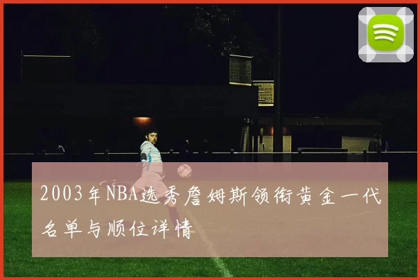 2003年NBA选秀詹姆斯领衔黄金一代名单与顺位详情