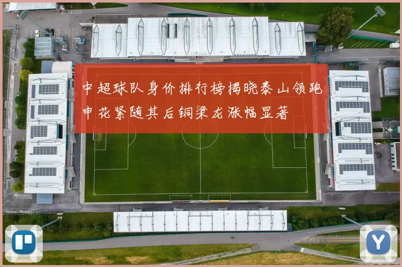 中超球队身价排行榜揭晓泰山领跑申花紧随其后铜梁龙涨幅显著