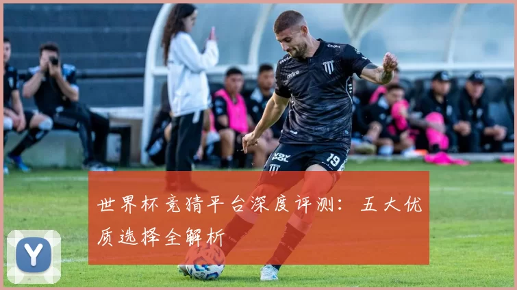 世界杯竞猜平台深度评测：五大优质选择全解析