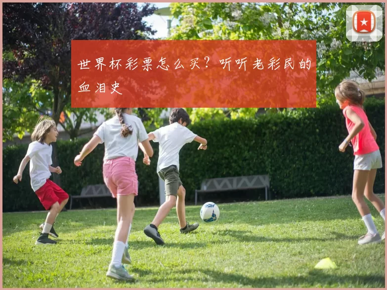 世界杯彩票怎么买？听听老彩民的血泪史