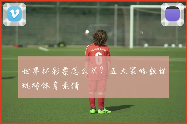 世界杯彩票怎么买？五大策略教你玩转体育竞猜