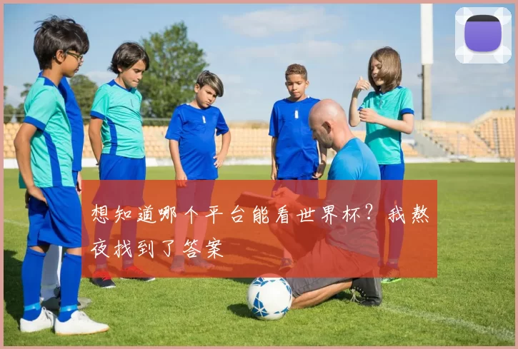 想知道哪个平台能看世界杯?我熬夜找到了答案