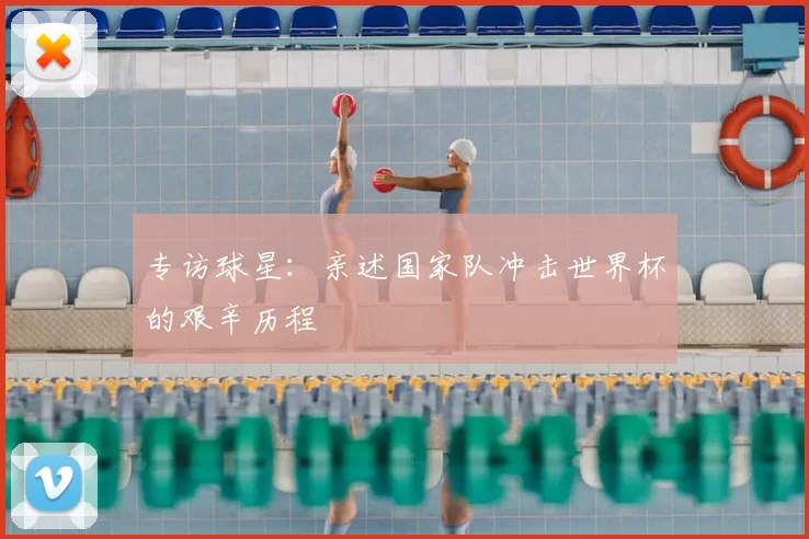 专访球星：亲述国家队冲击世界杯的艰辛历程