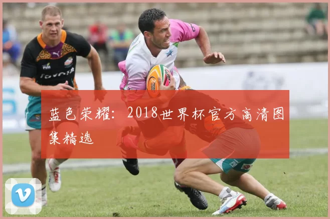 蓝色荣耀：2018世界杯官方高清图集精选