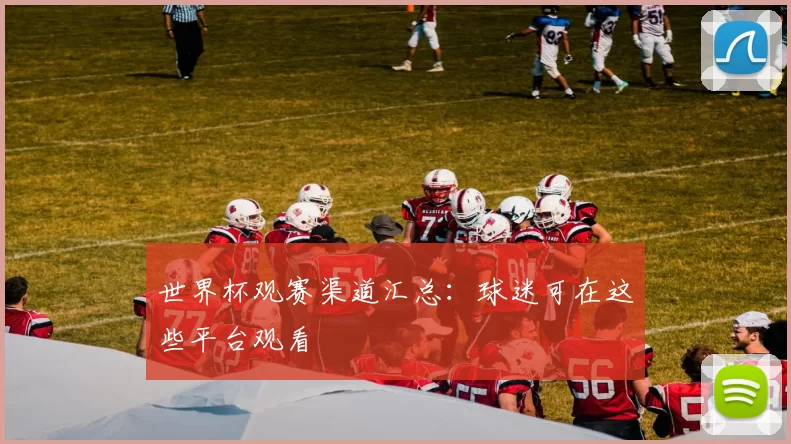世界杯观赛渠道汇总：球迷可在这些平台观看