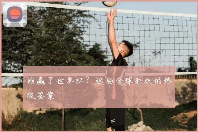 谁赢了世界杯？这场全球狂欢的终极答案