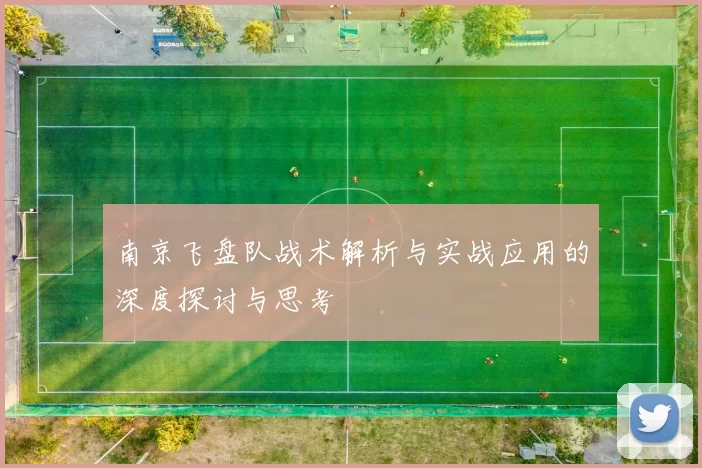 南京飞盘队战术解析与实战应用的深度探讨与思考