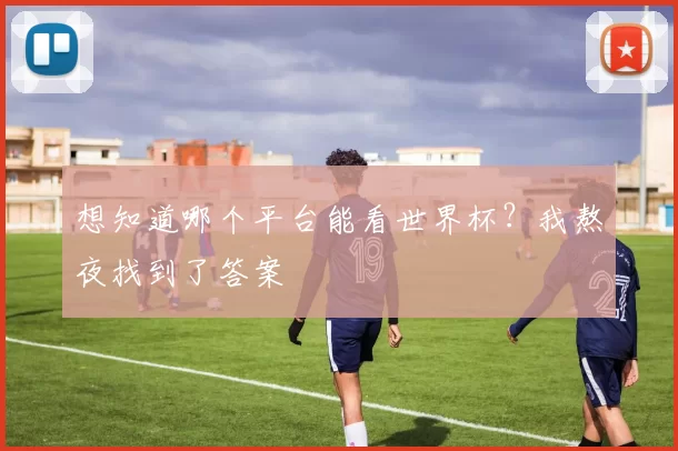 想知道哪个平台能看世界杯?我熬夜找到了答案